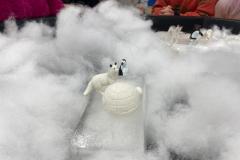 IMG-20260114-WA0013
