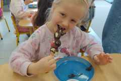 IMG-20260413-WA0047
