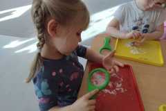 IMG-20260305-WA0049