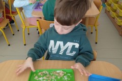 IMG-20260305-WA0056