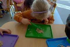 IMG-20260305-WA0066
