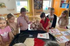 IMG-20260430-WA0002