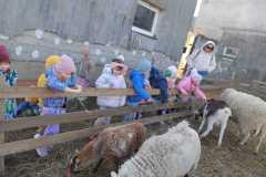 IMG-20260318-WA0315