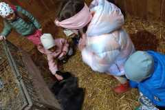 IMG-20260318-WA0319