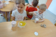IMG-20260402-WA0011