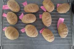 IMG-20260403-WA0085